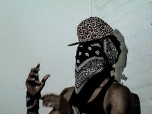 Load image into Gallery viewer, Cheetah &#39;Lifestyle, Sb
